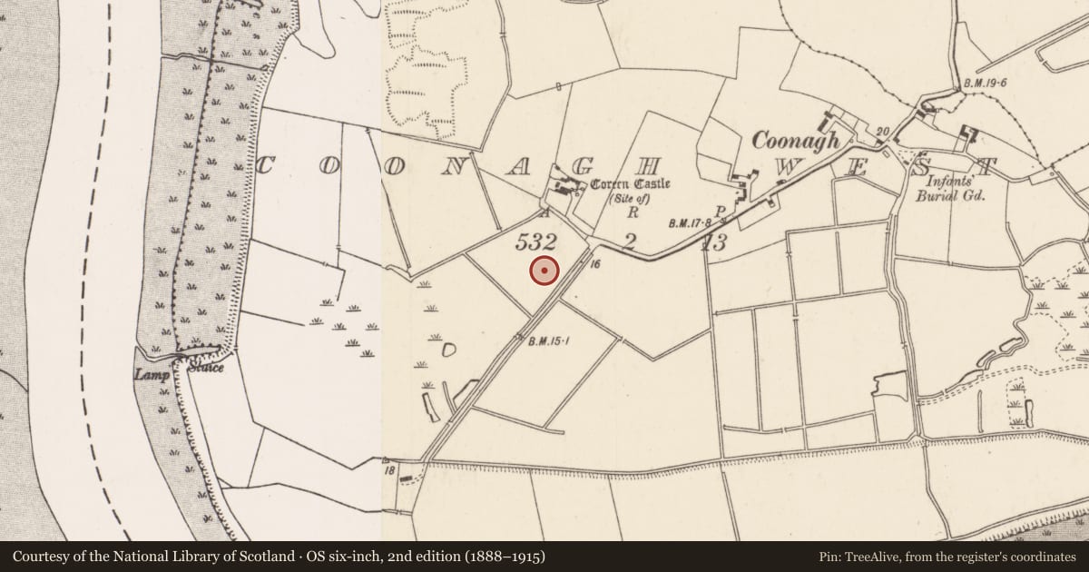 Ordnance Survey six-inch map, 2nd edition (1888–1915) covering the location of Fulacht fia, Coonagh West, County Limerick, with a pin at the register's coordinates