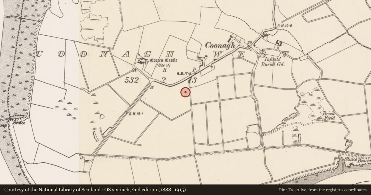 Ordnance Survey six-inch map, 2nd edition (1888–1915) covering the location of Ringfort - rath, Coonagh West, County Limerick, with a pin at the register's coordinates