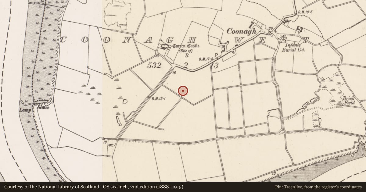 Ordnance Survey six-inch map, 2nd edition (1888–1915) covering the location of House - Bronze Age, Coonagh West, County Limerick, with a pin at the register's coordinates
