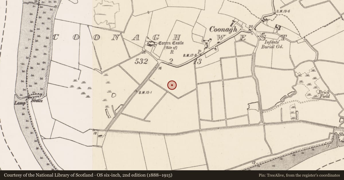 Ordnance Survey six-inch map, 2nd edition (1888–1915) covering the location of House - Bronze Age, Coonagh West, County Limerick, with a pin at the register's coordinates