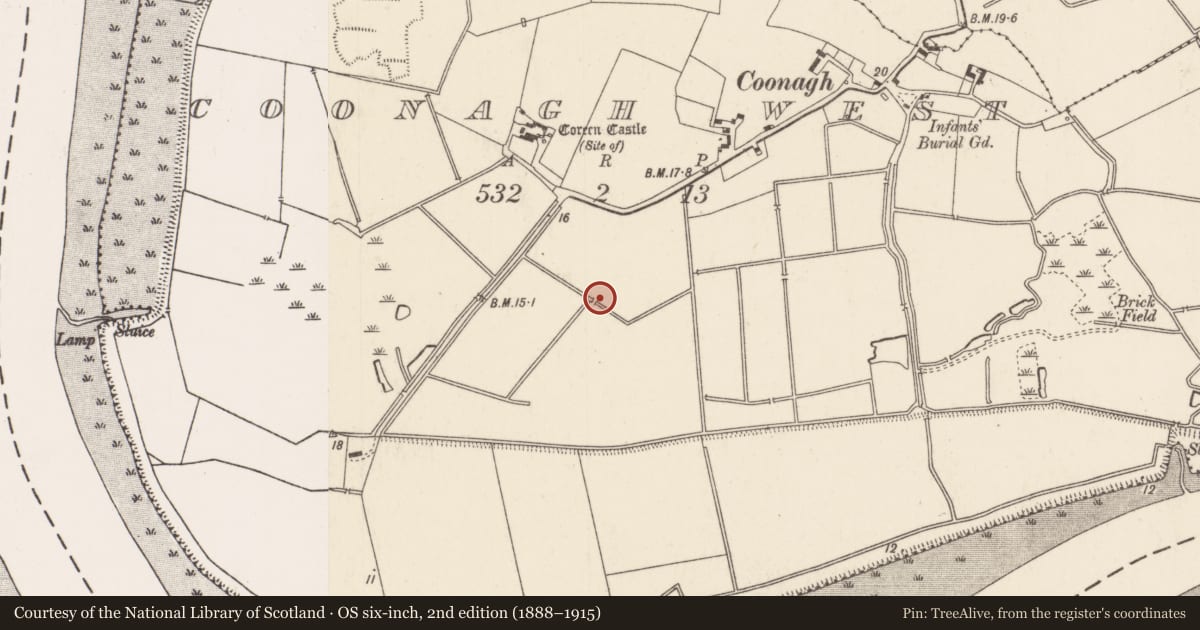 Ordnance Survey six-inch map, 2nd edition (1888–1915) covering the location of Fulacht fia, Coonagh West, County Limerick, with a pin at the register's coordinates