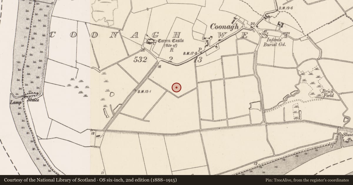 Ordnance Survey six-inch map, 2nd edition (1888–1915) covering the location of Fulacht fia, Coonagh West, County Limerick, with a pin at the register's coordinates