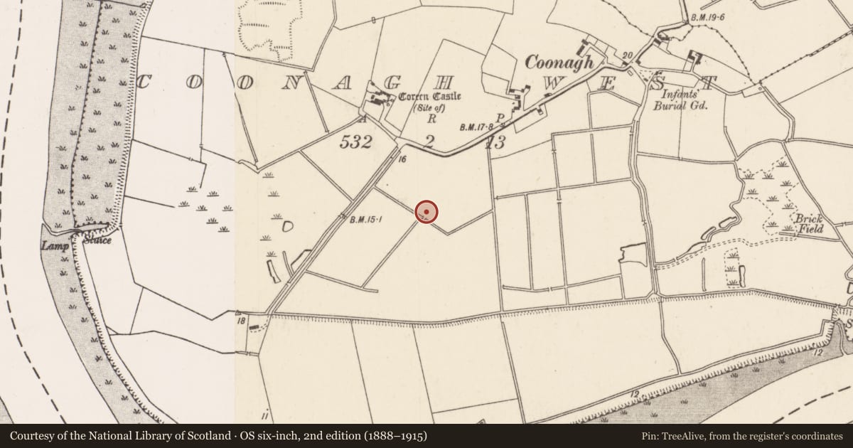Ordnance Survey six-inch map, 2nd edition (1888–1915) covering the location of Road - road/trackway, Coonagh West, County Limerick, with a pin at the register's coordinates