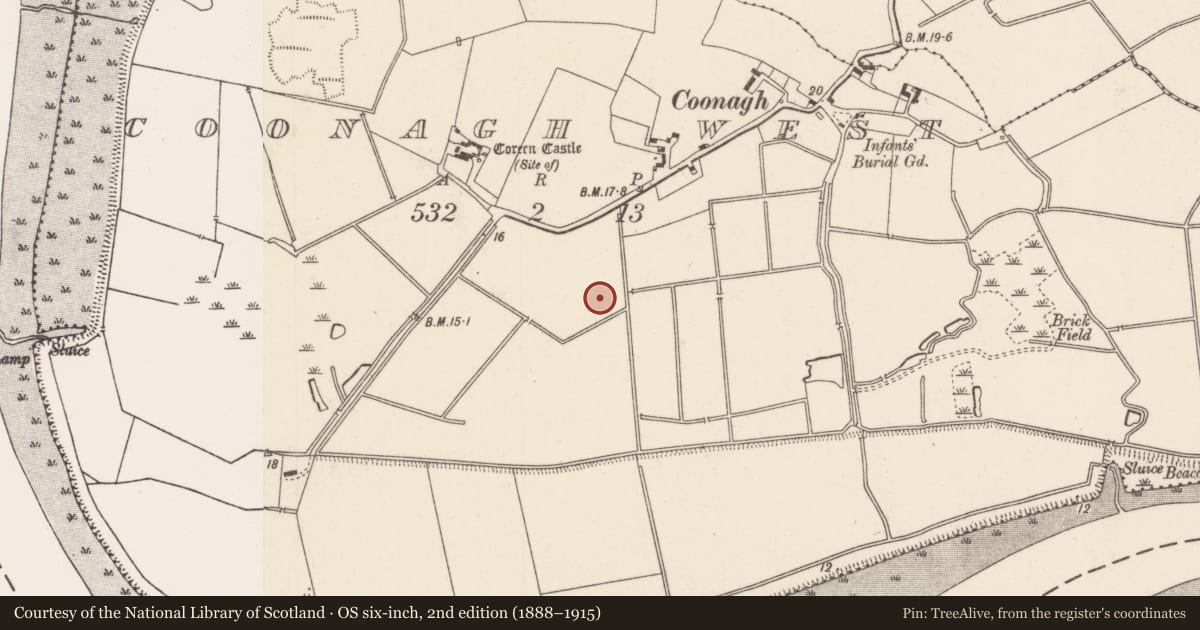 Ordnance Survey six-inch map, 2nd edition (1888–1915) covering the location of Causeway, Coonagh West, County Limerick, with a pin at the register's coordinates