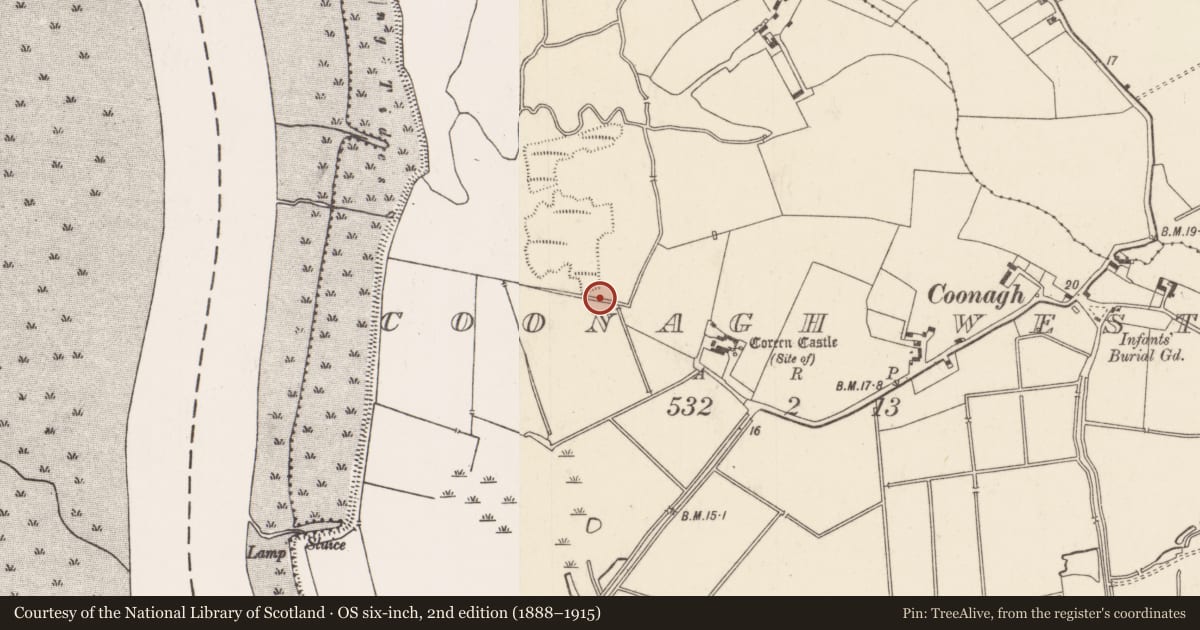Ordnance Survey six-inch map, 2nd edition (1888–1915) covering the location of Fulacht fia, Coonagh West, County Limerick, with a pin at the register's coordinates