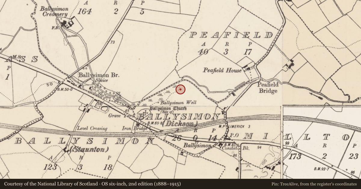 Ordnance Survey six-inch map, 2nd edition (1888–1915) covering the location of Hut site, Ballysimon (Staunton), County Limerick, with a pin at the register's coordinates