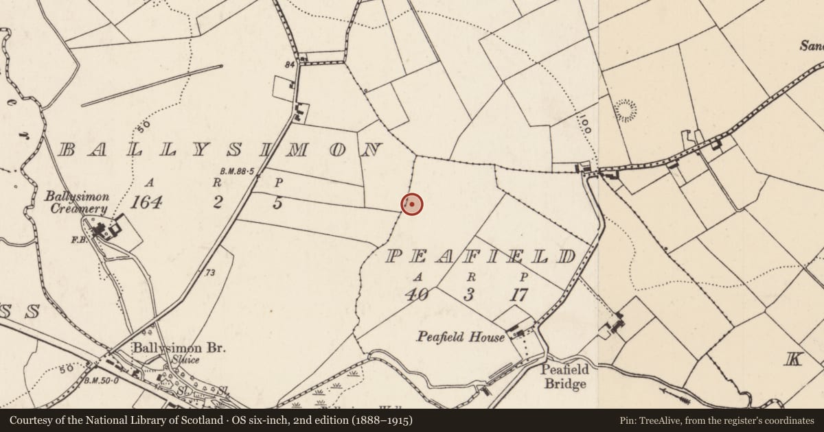 Ordnance Survey six-inch map, 2nd edition (1888–1915) covering the location of Fulacht fia, Peafield, County Limerick, with a pin at the register's coordinates