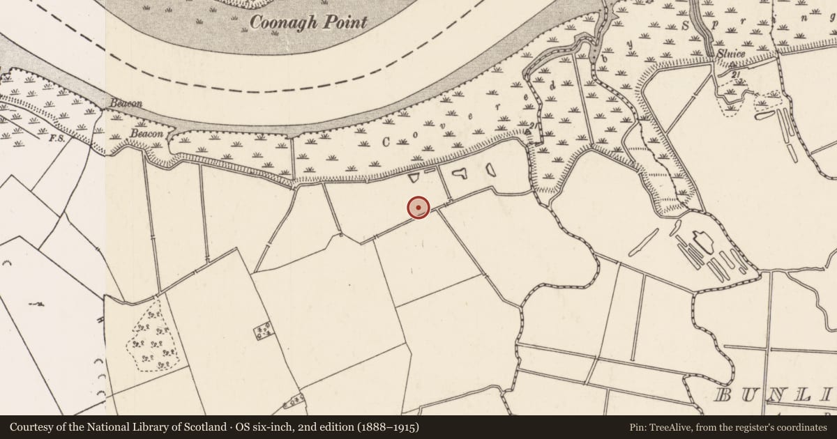 Ordnance Survey six-inch map, 2nd edition (1888–1915) covering the location of Brickworks, Conigar, County Limerick, with a pin at the register's coordinates