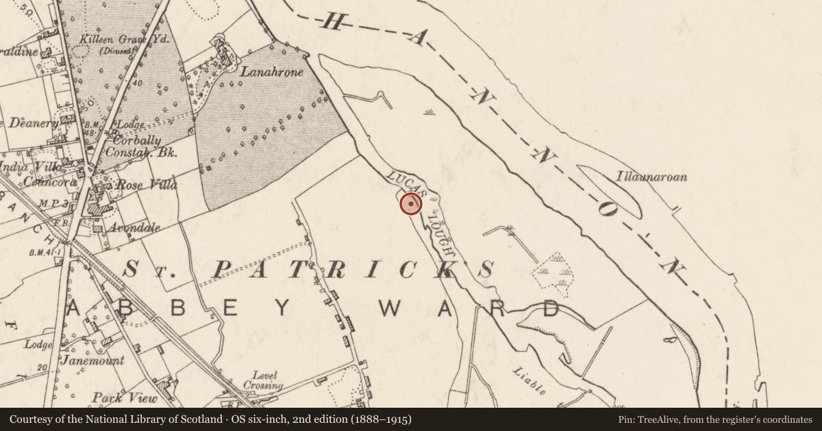 Ordnance Survey six-inch map, 2nd edition (1888–1915) covering the location of Fulacht fia, Corbally (Limerick Municipal Borough), County Limerick, with a pin at the register's coordinates
