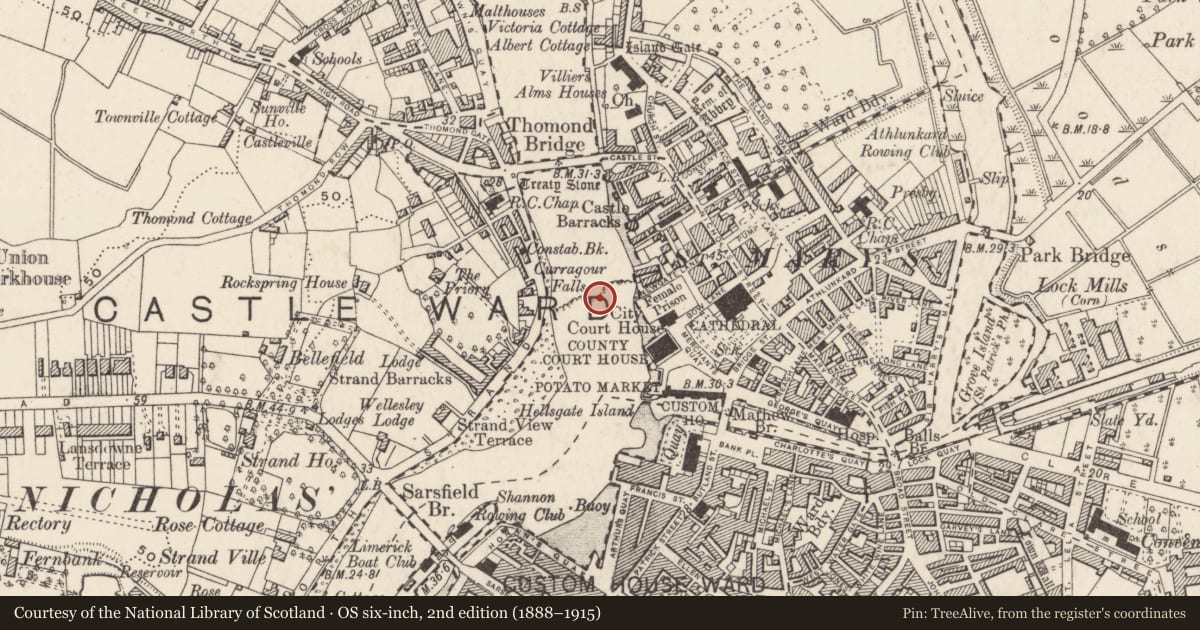Ordnance Survey six-inch map, 2nd edition (1888–1915) covering the location of Weir - fish, Limerick City, County Limerick, with a pin at the register's coordinates