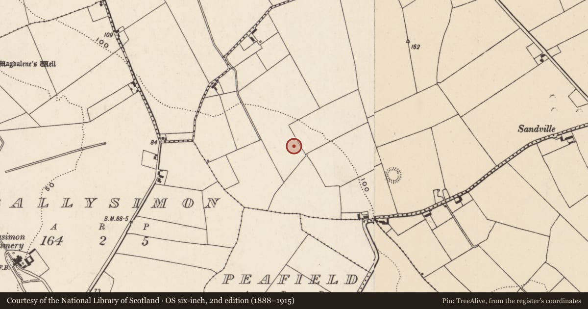 Ordnance Survey six-inch map, 2nd edition (1888–1915) covering the location of Excavation - miscellaneous, Newtown, County Limerick, with a pin at the register's coordinates