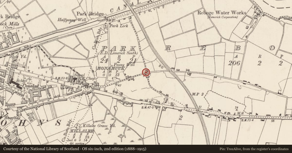 Ordnance Survey six-inch map, 2nd edition (1888–1915) covering the location of Bastioned fort, County Limerick, with a pin at the register's coordinates