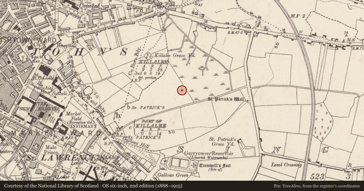 Ordnance Survey six-inch map, 2nd edition (1888–1915) covering the location of Ring-ditch, Singland, County Limerick, with a pin at the register's coordinates