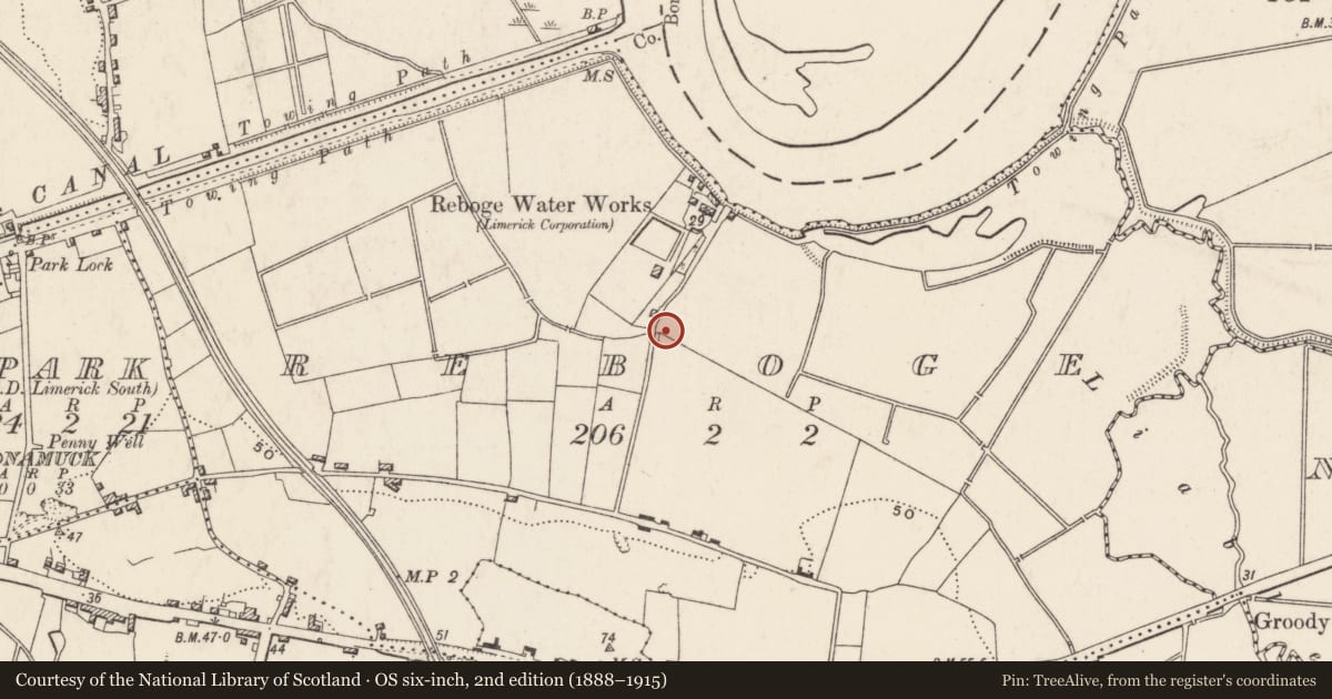 Ordnance Survey six-inch map, 2nd edition (1888–1915) covering the location of Mill - corn, Reboge, County Limerick, with a pin at the register's coordinates