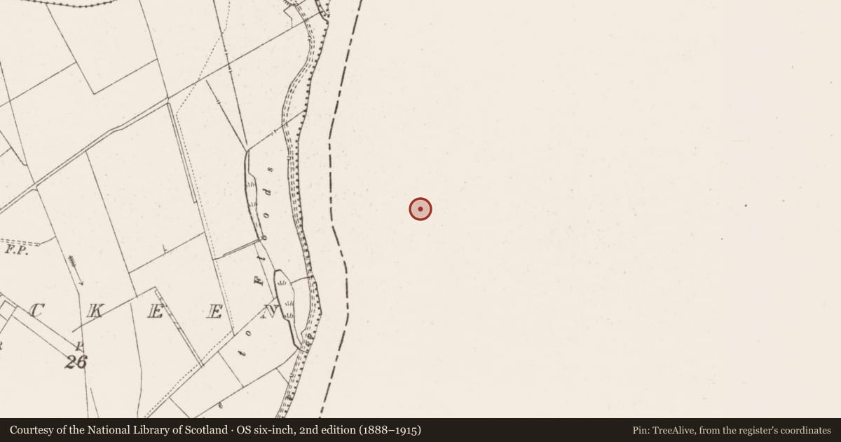 Ordnance Survey six-inch map, 2nd edition (1888–1915) covering the location of Ringfort - rath, Ballyvollane, County Limerick, with a pin at the register's coordinates