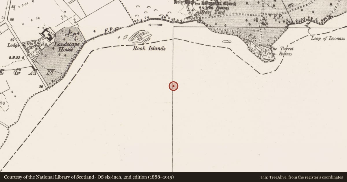 Ordnance Survey six-inch map, 2nd edition (1888–1915) covering the location of Ringfort - rath, Newgarden North, County Limerick, with a pin at the register's coordinates