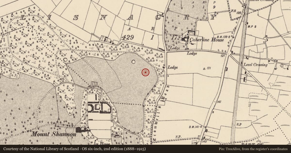 Ordnance Survey six-inch map, 2nd edition (1888–1915) covering the location of Ringfort - rath, Lisnagry, County Limerick, with a pin at the register's coordinates