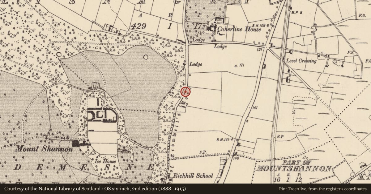 Ordnance Survey six-inch map, 2nd edition (1888–1915) covering the location of Road - road/trackway, County Limerick, with a pin at the register's coordinates
