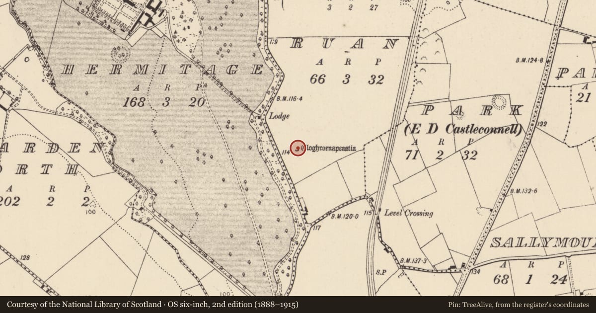 Ordnance Survey six-inch map, 2nd edition (1888–1915) covering the location of Standing stone, Ruan, County Limerick, with a pin at the register's coordinates