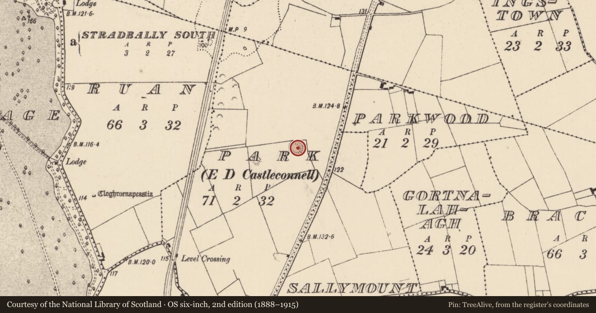 Ordnance Survey six-inch map, 2nd edition (1888–1915) covering the location of Ringfort - rath, Park, County Limerick, with a pin at the register's coordinates
