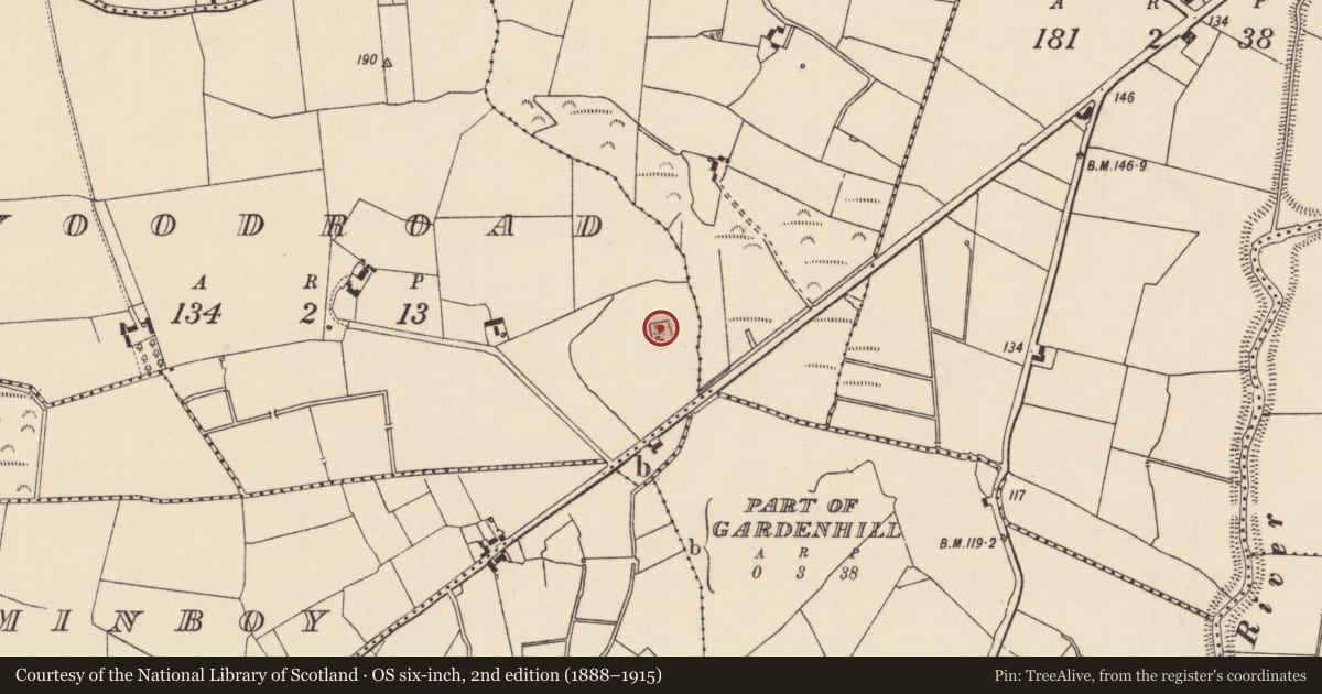 Ordnance Survey six-inch map, 2nd edition (1888–1915) covering the location of Ringfort - rath, Woodroad, County Limerick, with a pin at the register's coordinates