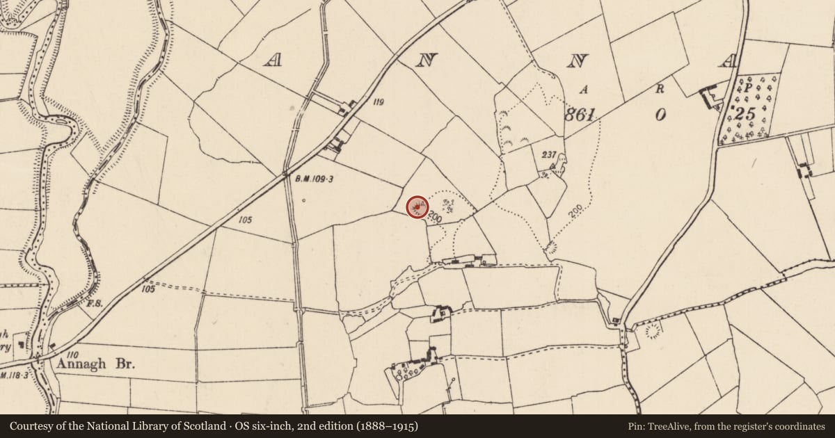 Ordnance Survey six-inch map, 2nd edition (1888–1915) covering the location of Ringfort - rath, Annagh, County Limerick, with a pin at the register's coordinates