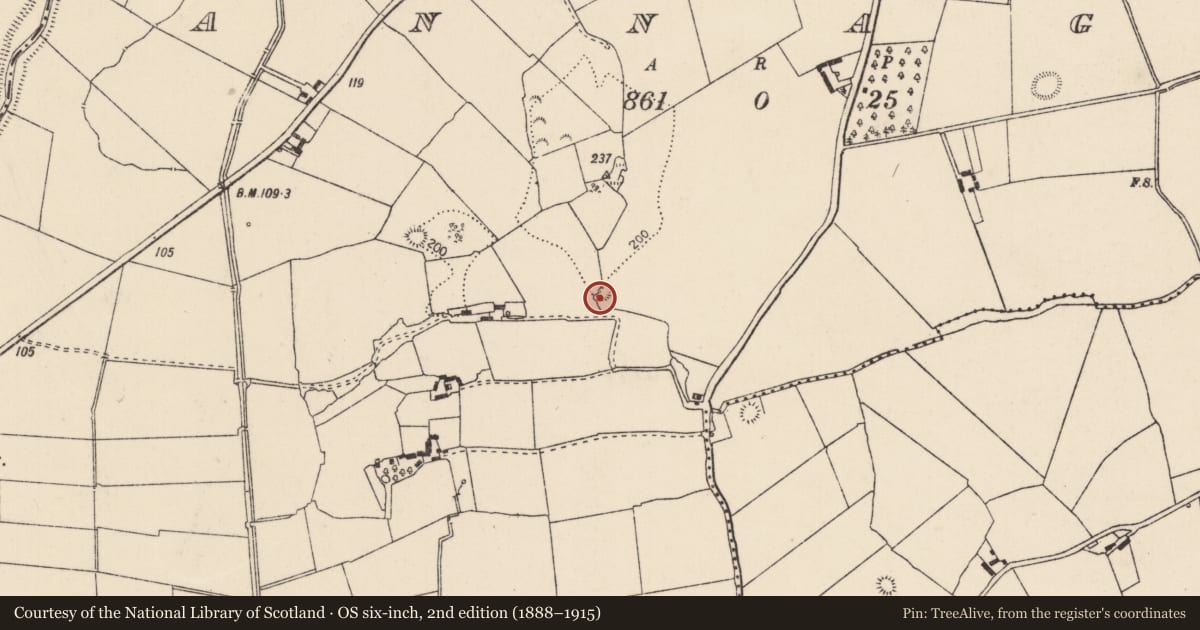 Ordnance Survey six-inch map, 2nd edition (1888–1915) covering the location of Ringfort - rath, Annagh, County Limerick, with a pin at the register's coordinates