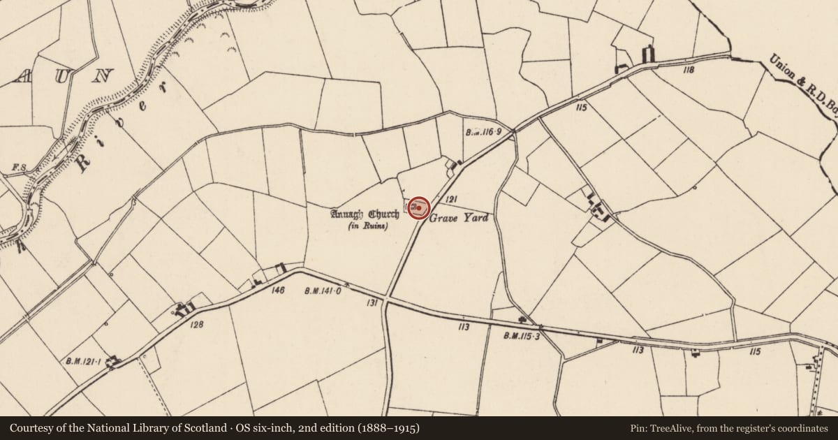 Ordnance Survey six-inch map, 2nd edition (1888–1915) covering the location of Graveyard, Annagh, County Limerick, with a pin at the register's coordinates