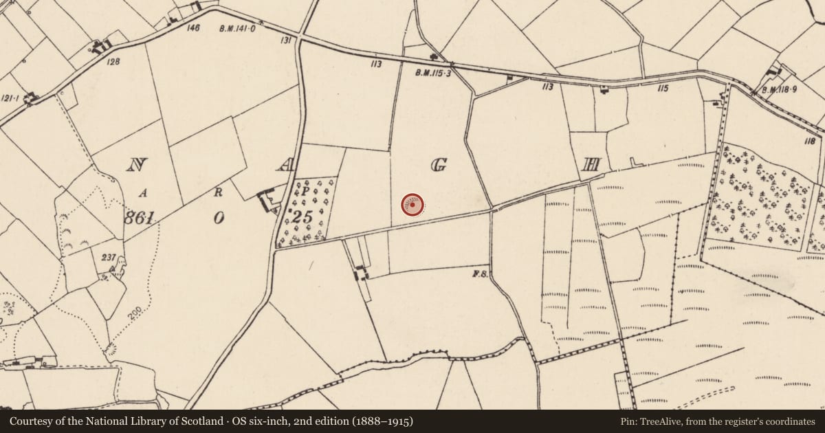 Ordnance Survey six-inch map, 2nd edition (1888–1915) covering the location of Barrow - unclassified, Annagh, County Limerick, with a pin at the register's coordinates