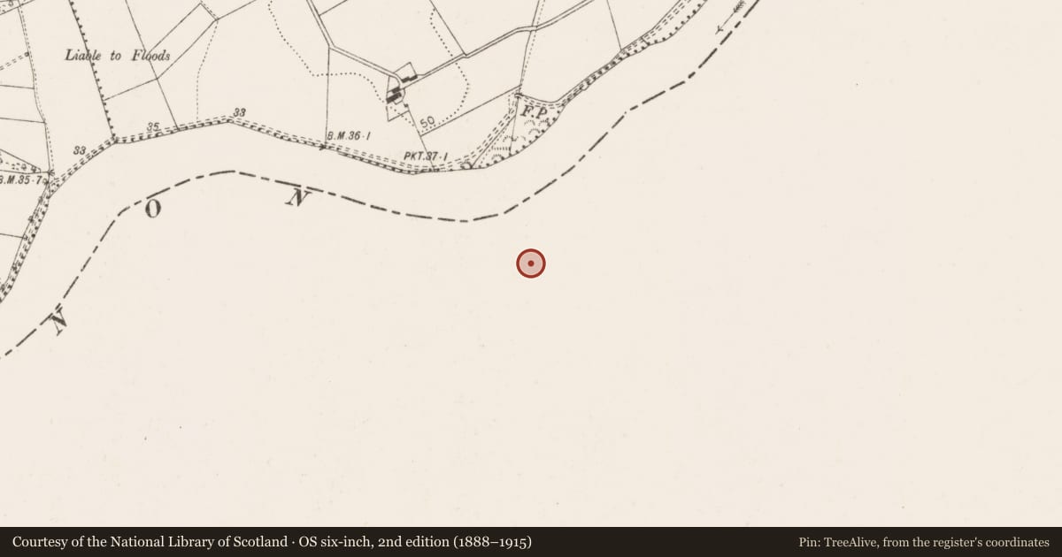 Ordnance Survey six-inch map, 2nd edition (1888–1915) covering the location of Castle - tower house, Castletroy, County Limerick, with a pin at the register's coordinates