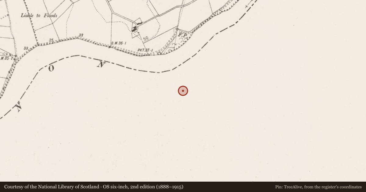 Ordnance Survey six-inch map, 2nd edition (1888–1915) covering the location of Bawn, Castletroy, County Limerick, with a pin at the register's coordinates