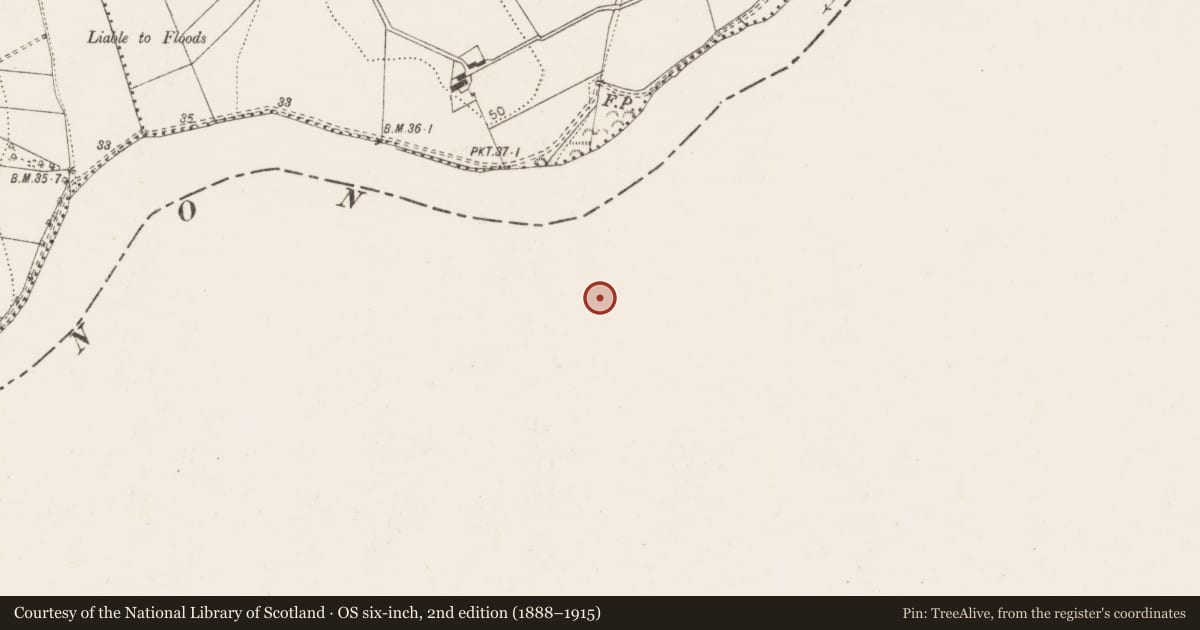 Ordnance Survey six-inch map, 2nd edition (1888–1915) covering the location of Gateway, Castletroy, County Limerick, with a pin at the register's coordinates