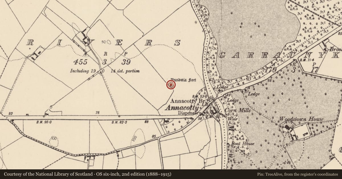 Ordnance Survey six-inch map, 2nd edition (1888–1915) covering the location of Ringfort - rath, Rivers, County Limerick, with a pin at the register's coordinates