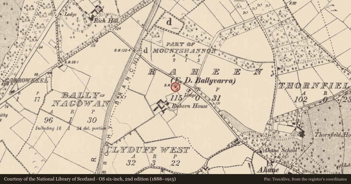 Ordnance Survey six-inch map, 2nd edition (1888–1915) covering the location of Ringfort - rath, Raheen, County Limerick, with a pin at the register's coordinates