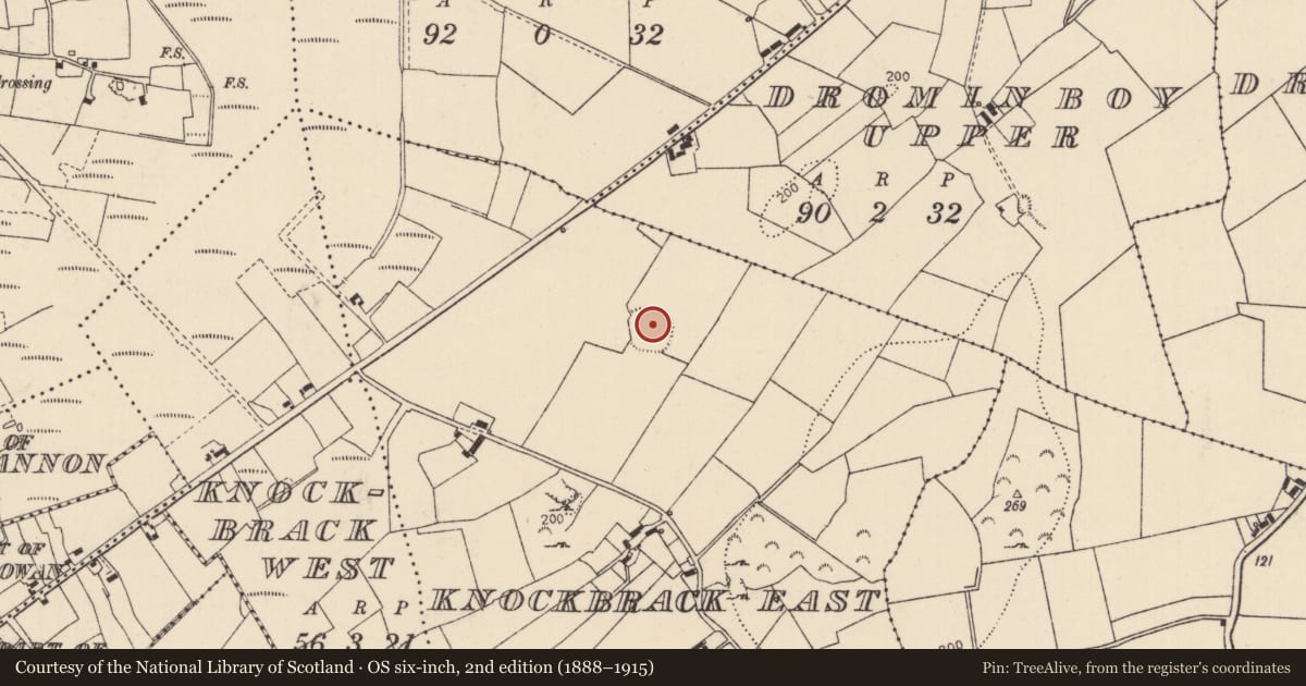 Ordnance Survey six-inch map, 2nd edition (1888–1915) covering the location of Ringfort - rath, Knockbrack East, County Limerick, with a pin at the register's coordinates