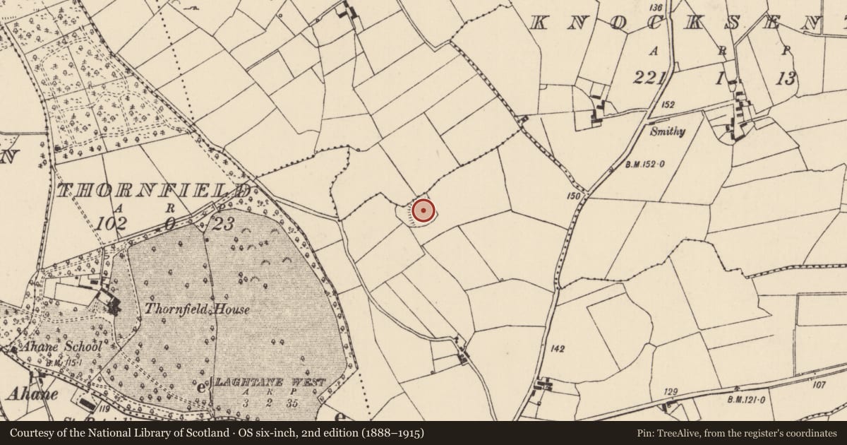 Ordnance Survey six-inch map, 2nd edition (1888–1915) covering the location of Ringfort - rath, Laghtane East, County Limerick, with a pin at the register's coordinates