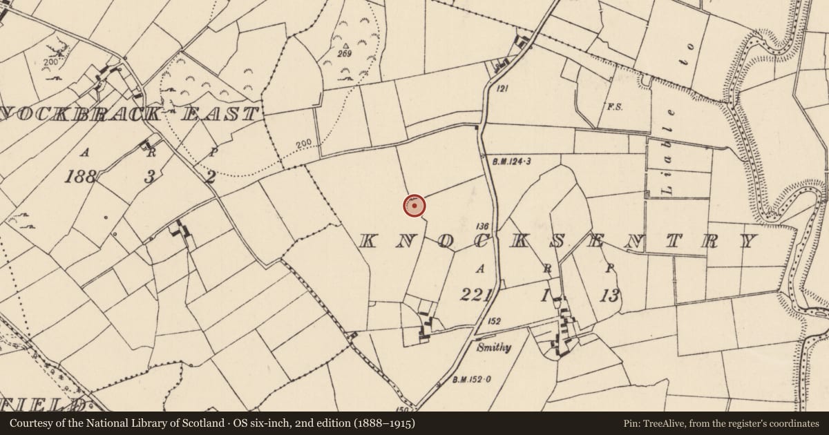 Ordnance Survey six-inch map, 2nd edition (1888–1915) covering the location of Ringfort - rath, Knocksentry, County Limerick, with a pin at the register's coordinates