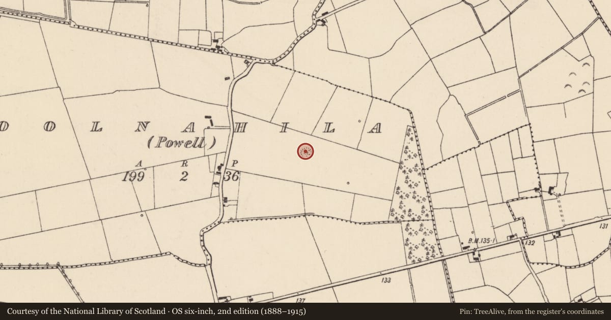 Ordnance Survey six-inch map, 2nd edition (1888–1915) covering the location of Ringfort - rath, Coolnahila (Powell), County Limerick, with a pin at the register's coordinates