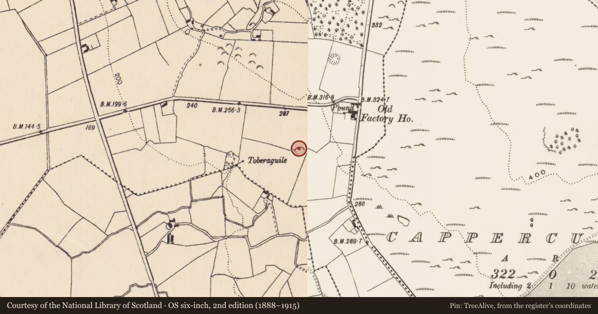 Ordnance Survey six-inch map, 2nd edition (1888–1915) covering the location of Enclosure, Cappanahanagh, County Limerick, with a pin at the register's coordinates