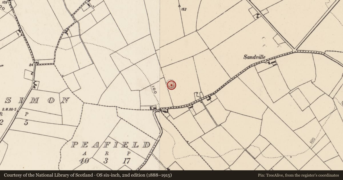 Ordnance Survey six-inch map, 2nd edition (1888–1915) covering the location of Ringfort - rath, Newtown, County Limerick, with a pin at the register's coordinates