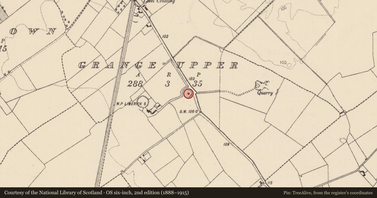 Ordnance Survey six-inch map, 2nd edition (1888–1915) covering the location of Ringfort - rath, Grange Upper, County Limerick, with a pin at the register's coordinates