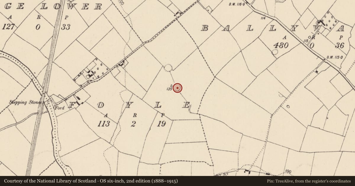 Ordnance Survey six-inch map, 2nd edition (1888–1915) covering the location of Ringfort - rath, Foyle, County Limerick, with a pin at the register's coordinates
