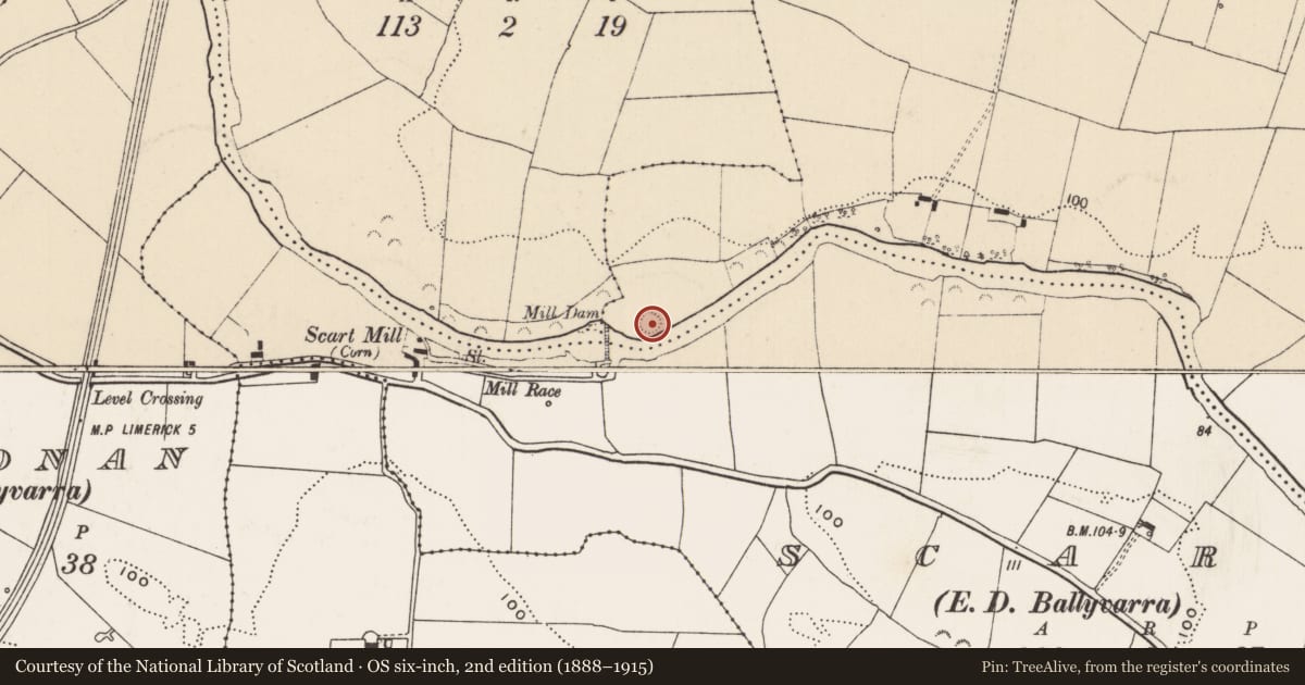Ordnance Survey six-inch map, 2nd edition (1888–1915) covering the location of Earthwork, Ballyvarra, County Limerick, with a pin at the register's coordinates