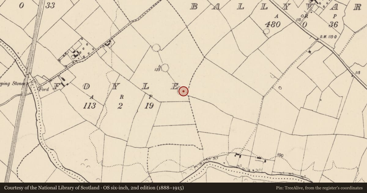 Ordnance Survey six-inch map, 2nd edition (1888–1915) covering the location of Ringfort - rath, Foyle, County Limerick, with a pin at the register's coordinates