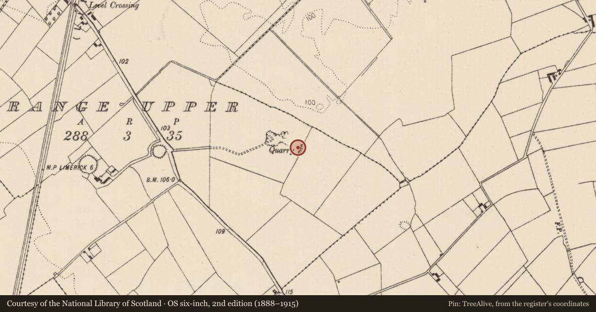 Ordnance Survey six-inch map, 2nd edition (1888–1915) covering the location of Mound, Grange Upper, County Limerick, with a pin at the register's coordinates