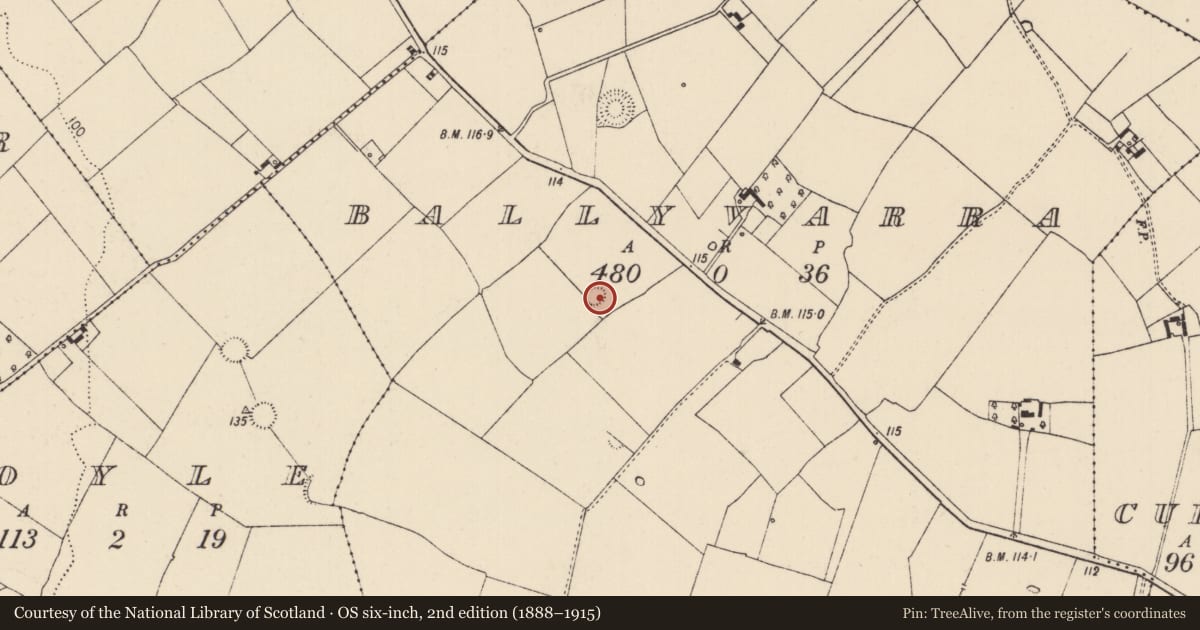Ordnance Survey six-inch map, 2nd edition (1888–1915) covering the location of Ringfort - rath, Ballyvarra, County Limerick, with a pin at the register's coordinates