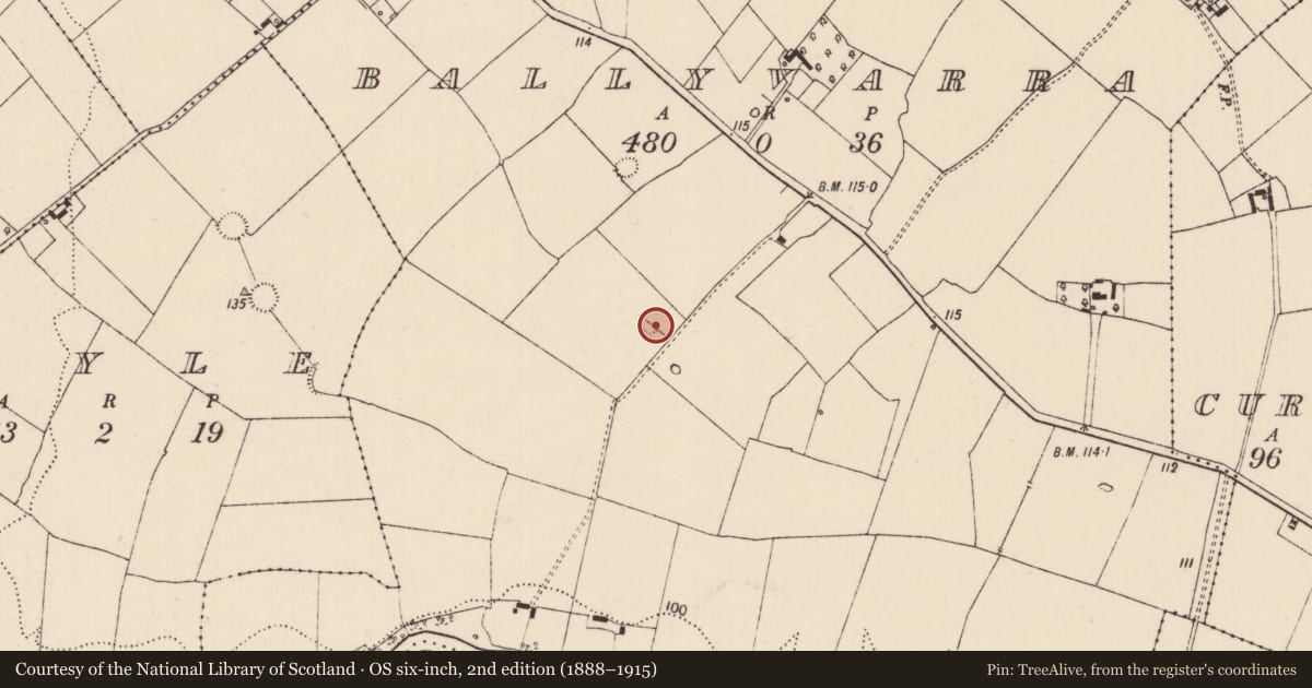 Ordnance Survey six-inch map, 2nd edition (1888–1915) covering the location of Earthwork, Ballyvarra, County Limerick, with a pin at the register's coordinates