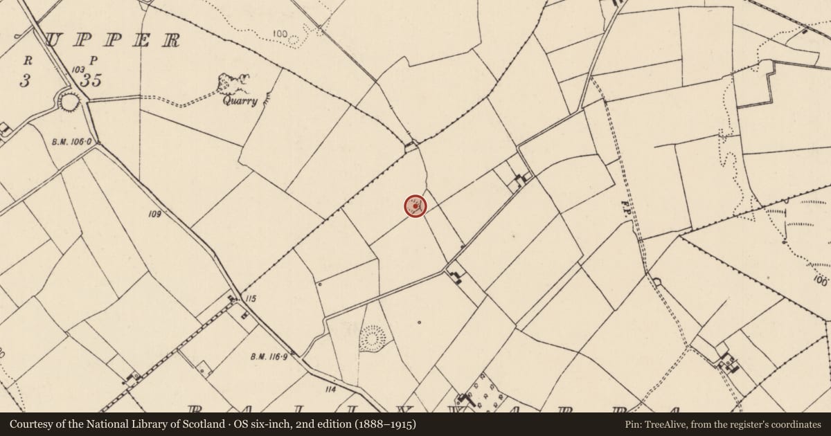 Ordnance Survey six-inch map, 2nd edition (1888–1915) covering the location of Enclosure, Ballyvarra, County Limerick, with a pin at the register's coordinates