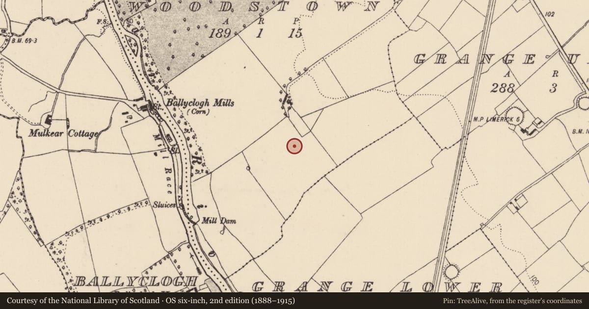 Ordnance Survey six-inch map, 2nd edition (1888–1915) covering the location of Enclosure, Woodstown, County Limerick, with a pin at the register's coordinates