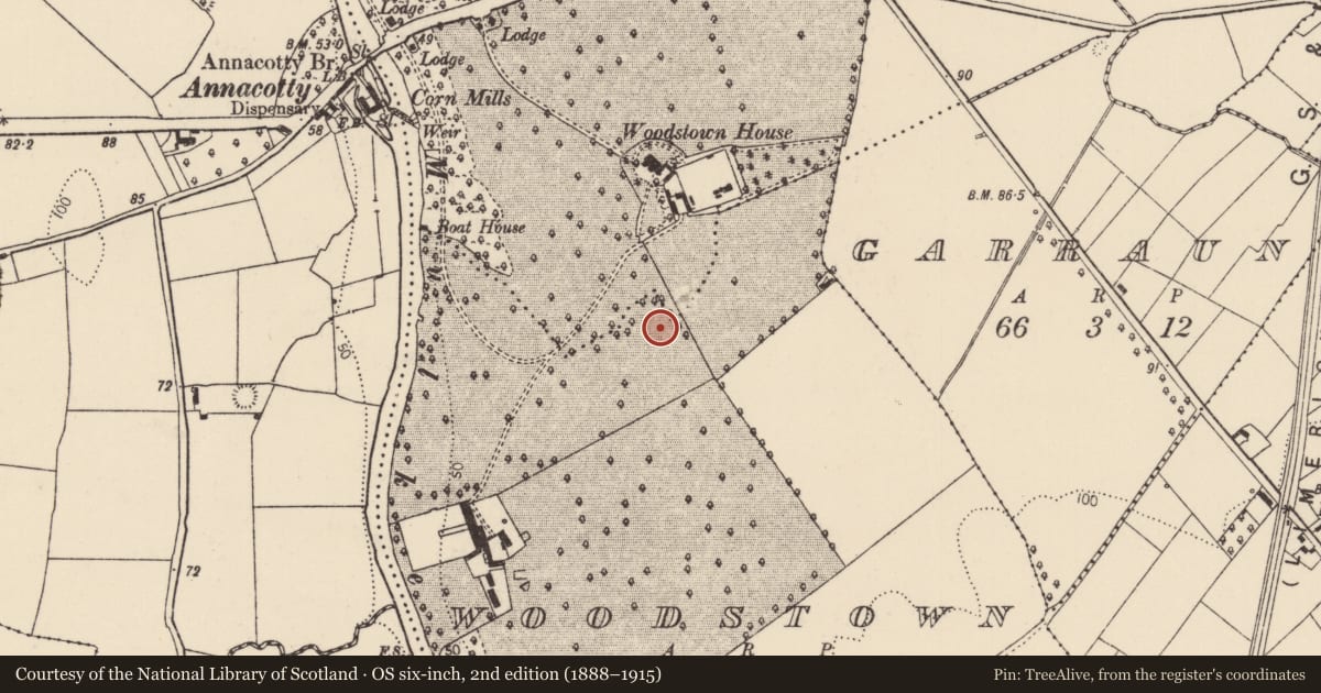 Ordnance Survey six-inch map, 2nd edition (1888–1915) covering the location of Designed landscape - tree-ring, Woodstown, County Limerick, with a pin at the register's coordinates